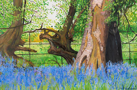 Bluebells in Ancient Woods