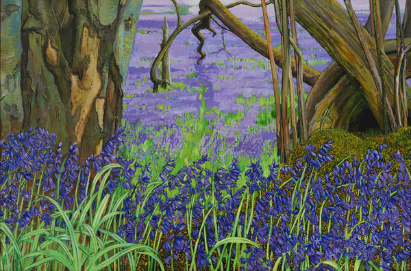 Bluebells and Moss