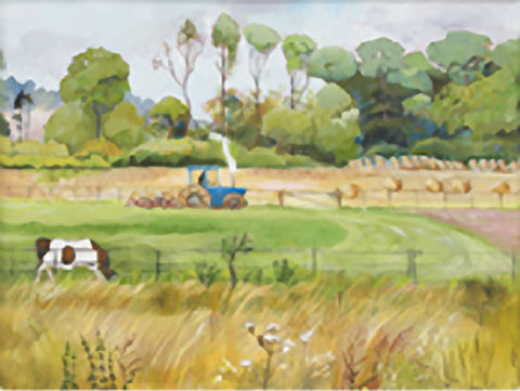Childwickbury Fields & Blue Tractor