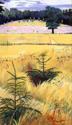 Little Pines in Dry Grass